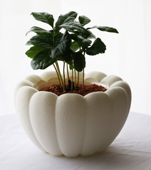 Airy Table Planter