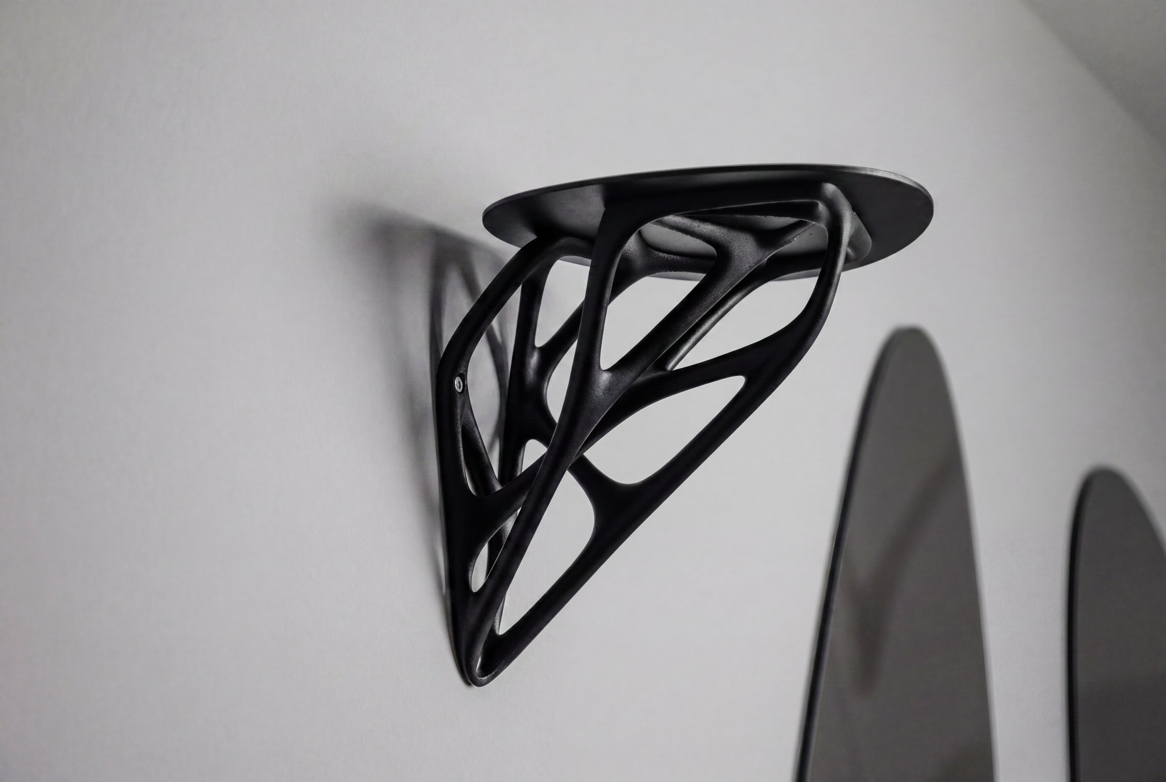 skeleton shelf