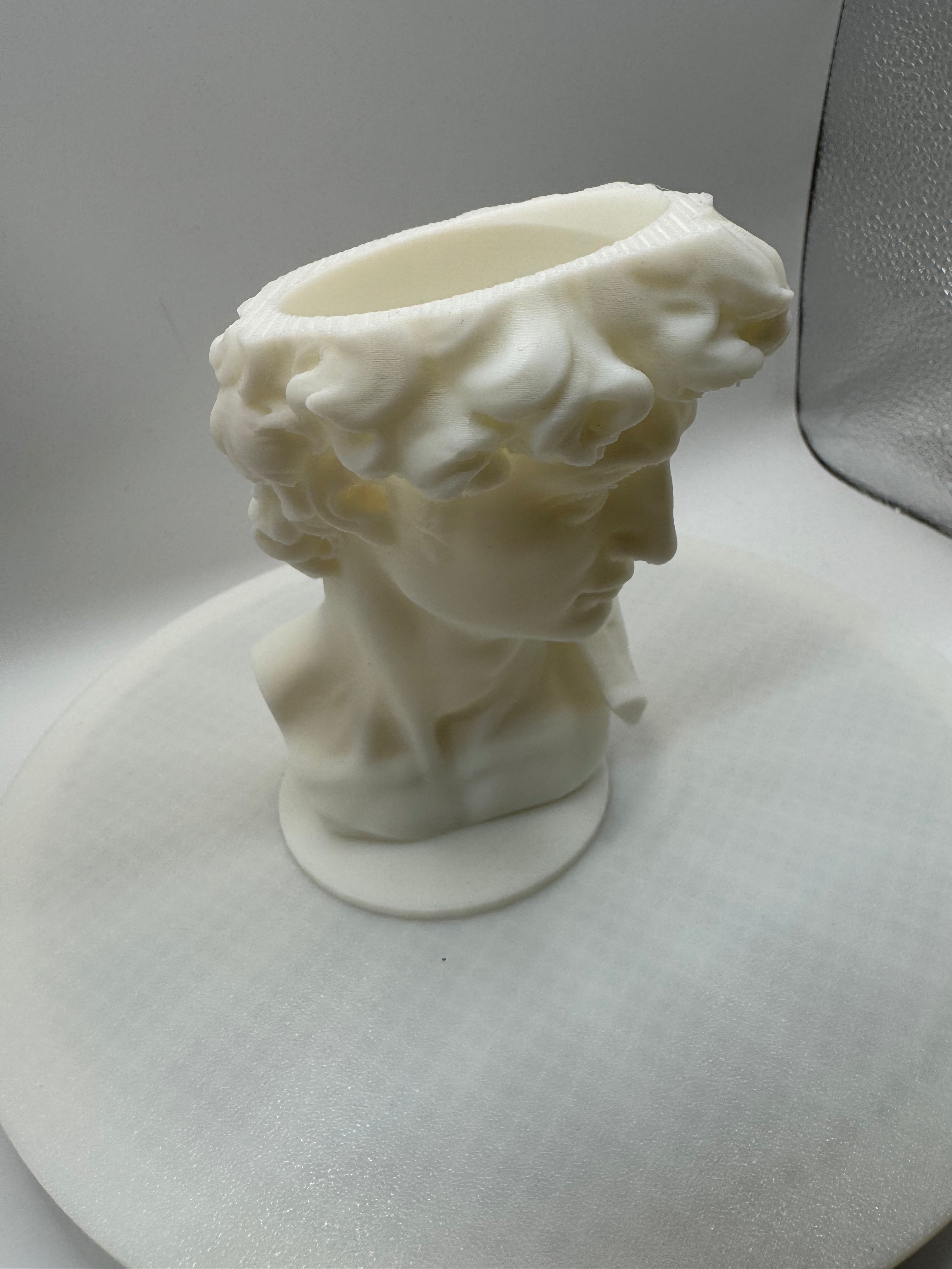 David vase scale 60%