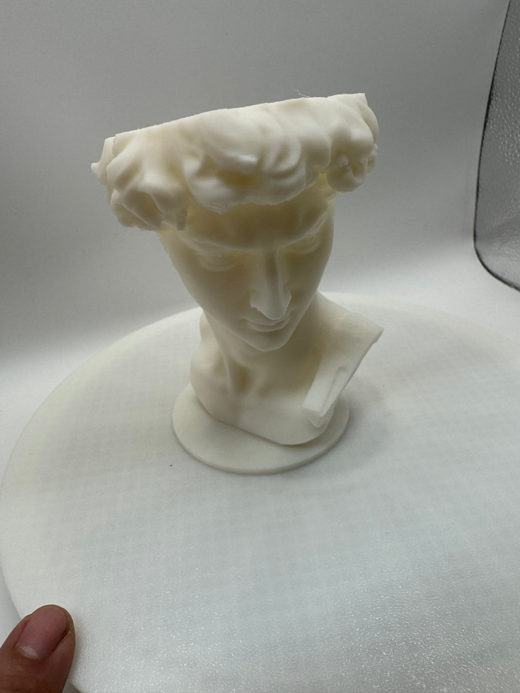 David vase scale 60%