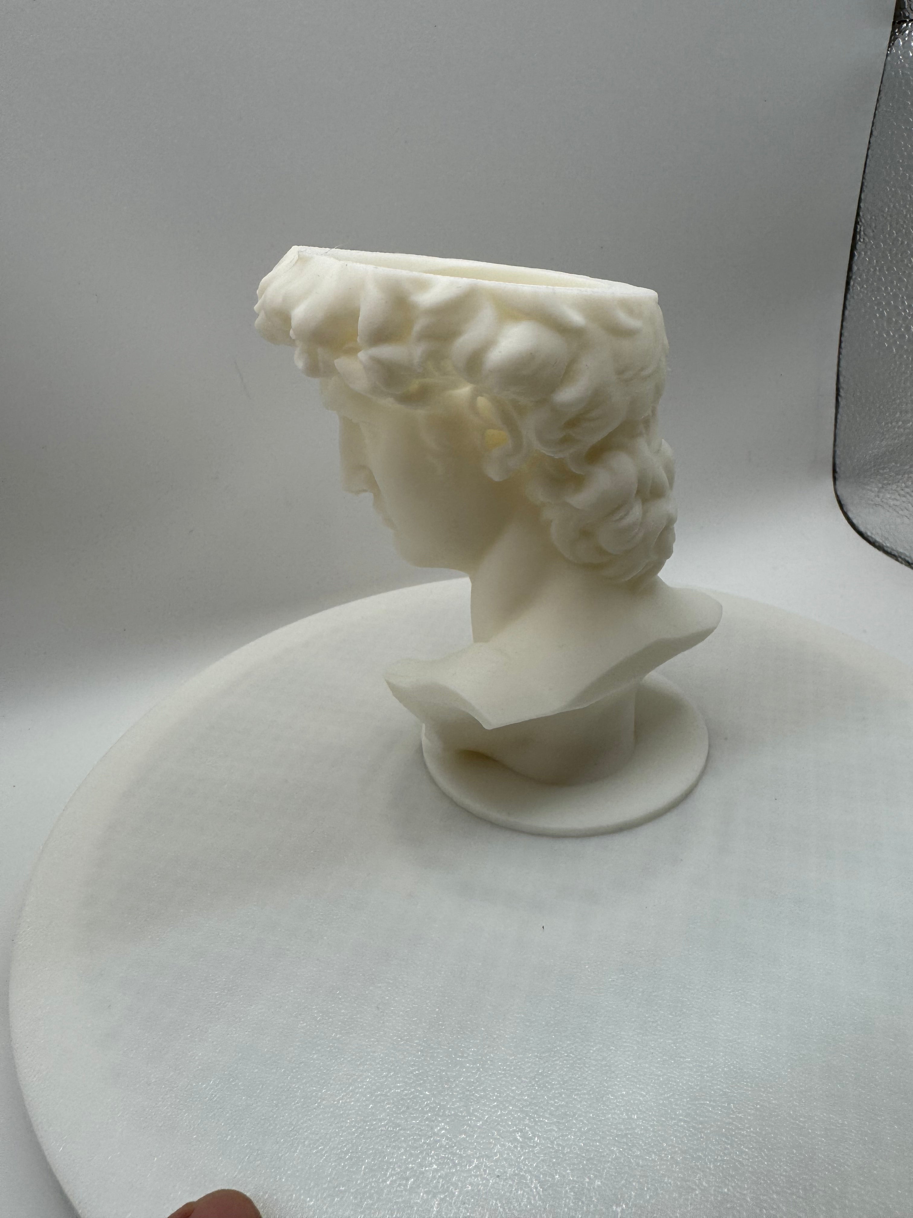 David vase scale 60%