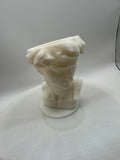 David vase scale 60%