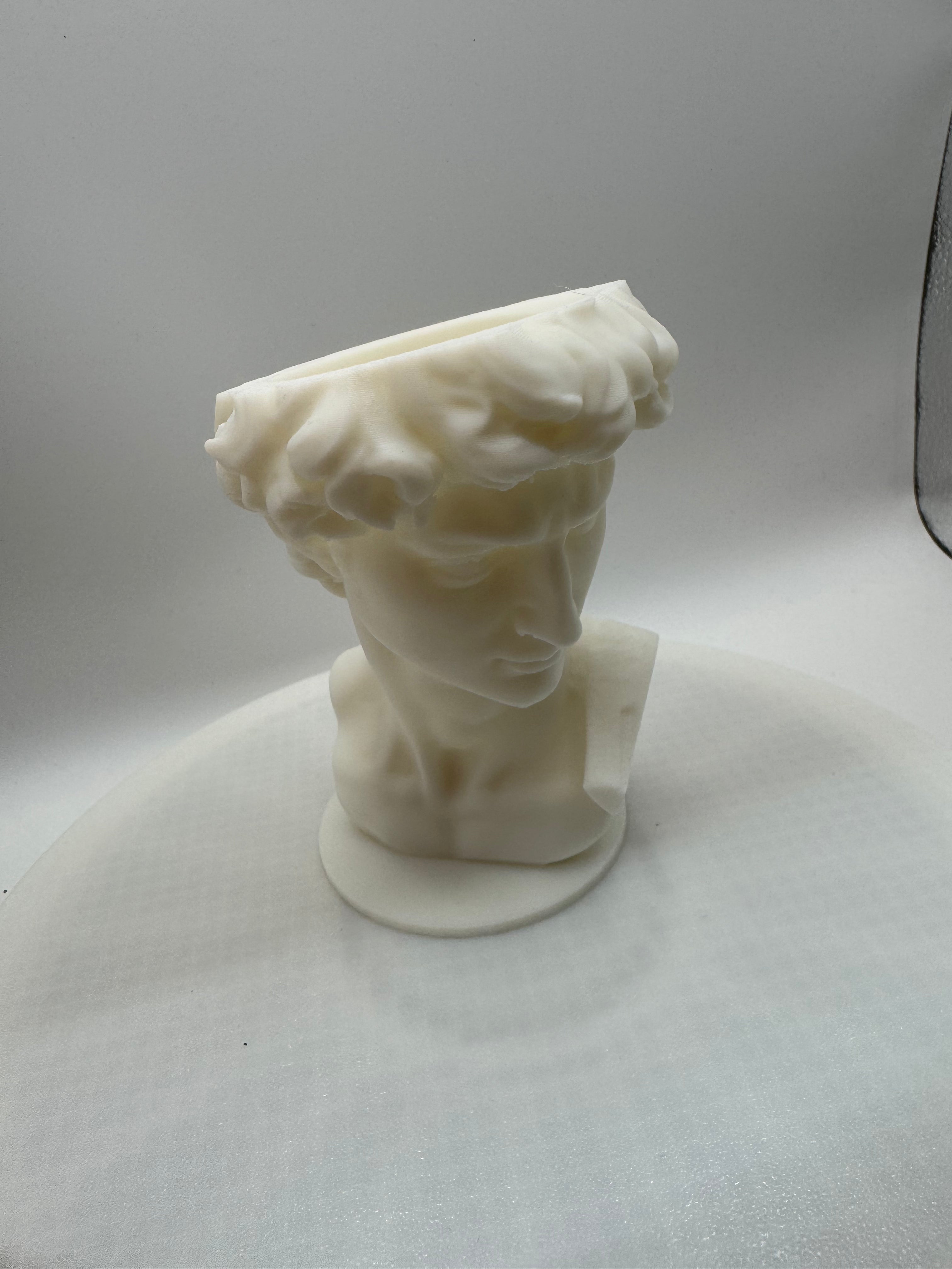 David vase scale 60%