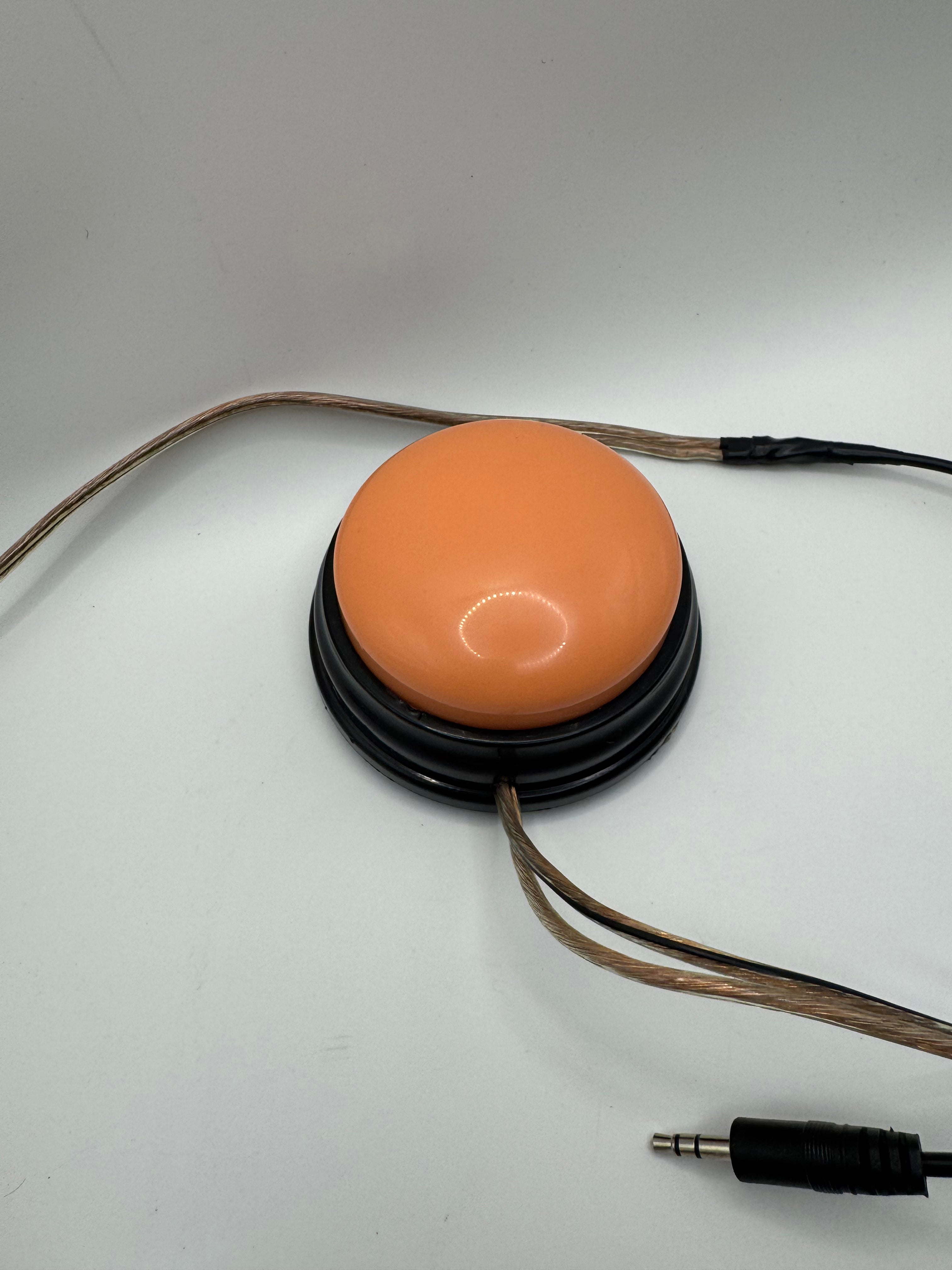 Adapted push button