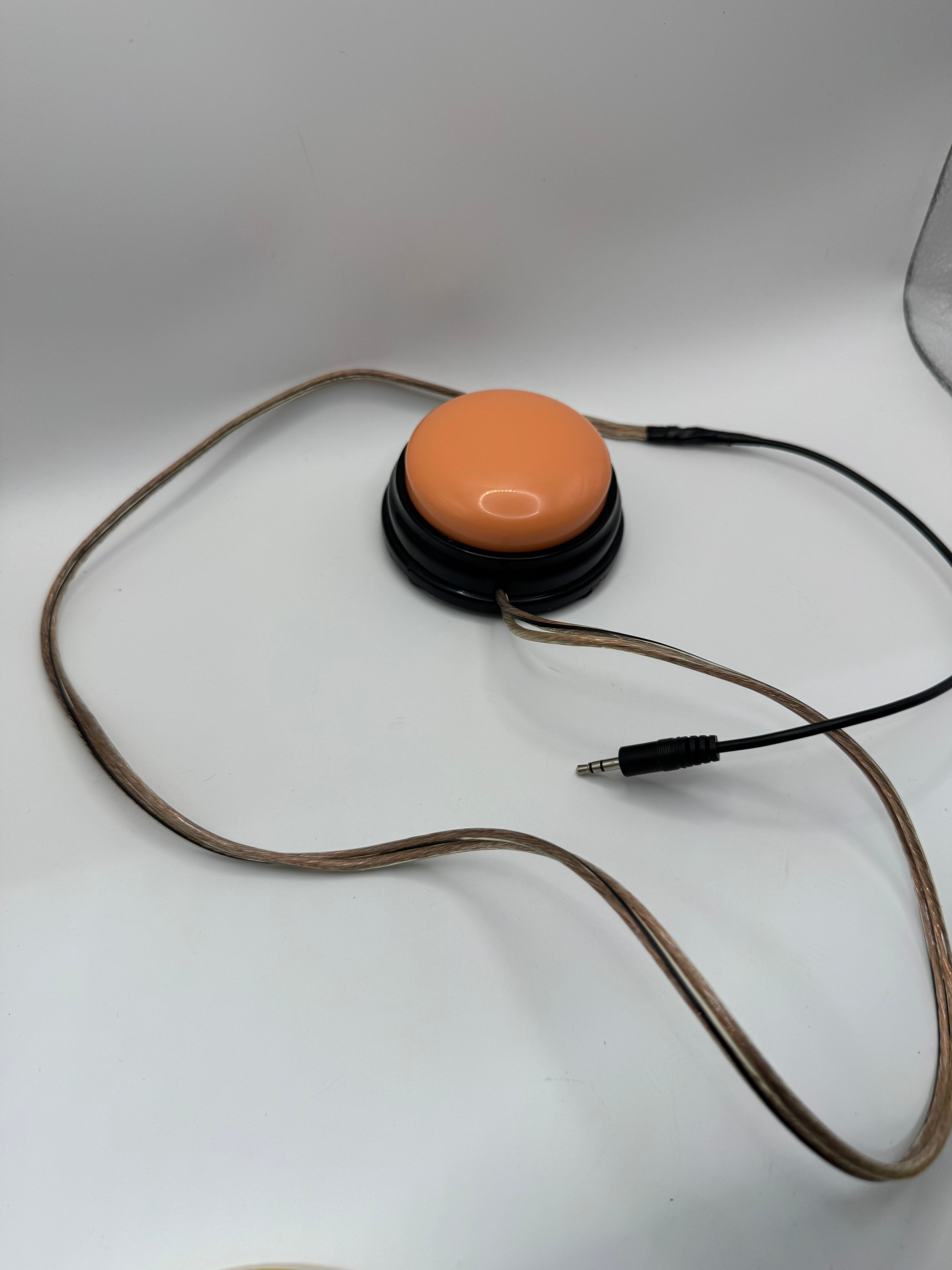 Adapted push button