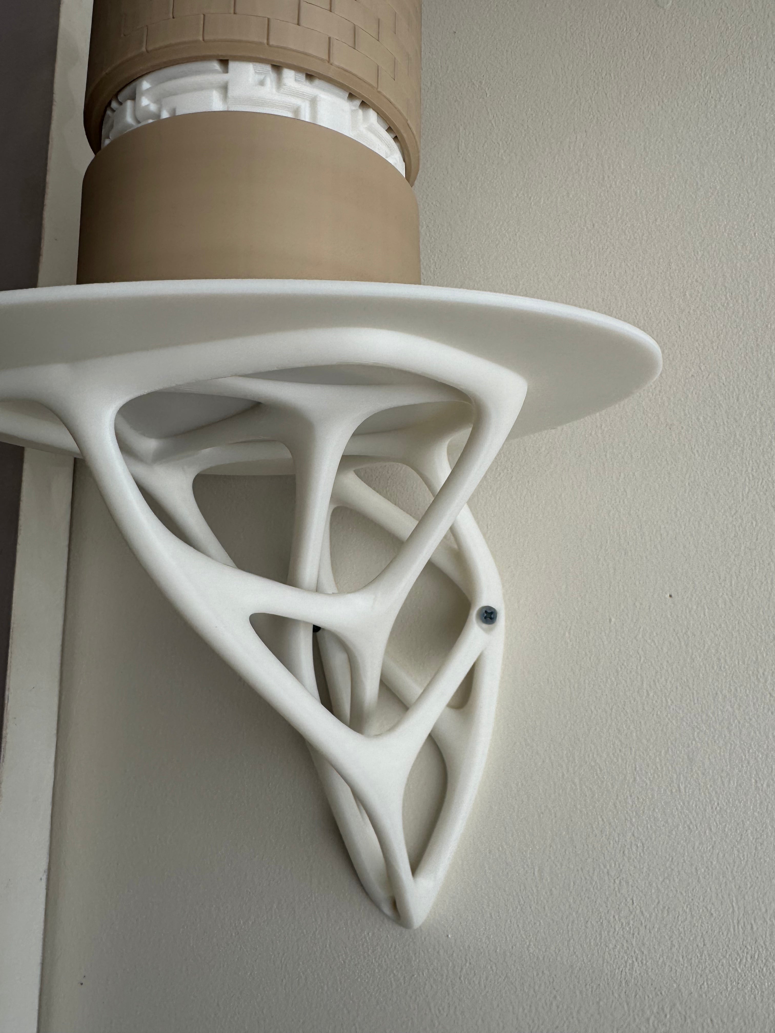 skeleton shelf